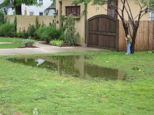 A grass yard with a pool of water in front of a house with a landscaped yard, driveway and wooden fence leading to the backyard.