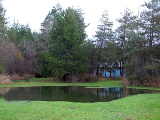 Standing water on a property an estimated 60 by 40 feet.